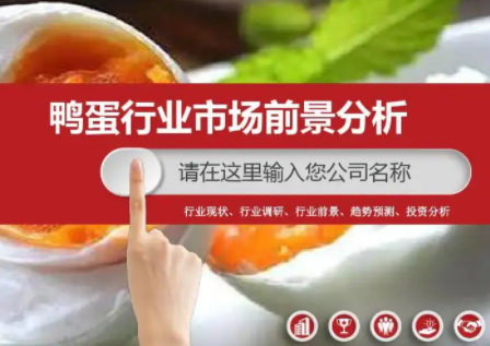 鸭脖市场分析